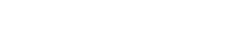 SwedSafe logo
